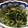 じゅんちあっちゃん's cooksnap of when they made にんにく香る！ほうれん草としらす炒め.