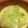 いとうちゃーん's cooksnap of when they made クリーミ〜☆簡単・時短白菜の生クリーム煮.