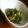 野菜のはたけ's cooksnap of when they made パセリ救済　納豆パセリ.