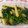 pingu40's cooksnap of when they made じゃがいもとほうれん草のバター醤油炒め.