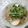 ちー☆ちー☆'s cooksnap of when they made 豆腐のとろとろ餡かけ.