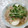 ちー☆ちー☆'s cooksnap of when they made 豆腐のとろとろ餡かけ.