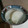 サーフブレイド's cooksnap of when they made 簡単！大根のお漬物！.