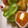 てーぶるすぷーん's cooksnap of when they made 干し柿のお洒落な召し上がり方☆.