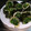 クッキーｱﾝﾄﾞゆめ's cooksnap of when they made ほうれん草の海苔巻き.