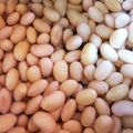 johndy's cooksnap of when they made 【作り置き】大豆の水煮.