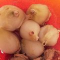 りおツァン's cooksnap of when they made まるごと新玉ねぎの肉詰めコンソメ煮.
