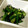 サニーブランチ's cooksnap of when they made オクラと塩昆布の中華風和え物.