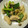 クックあこ's cooksnap of when they made 鶏ささみとキノコのレモン塩風味.