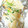 ゆなほむcrea's cooksnap of when they made 簡単♪ネギ味噌マヨチーズ焼き*.