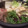 pankotan's cooksnap of when they made 母直伝☆すき焼きの割り下☆簡単レシピ.
