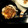 yupichqn's cooksnap of when they made ちょー簡単、めんつゆで豚丼☆.