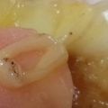クックH5R89R☆'s cooksnap of when they made クリスピー★ごはんピザ.