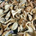 gemkaachan's cooksnap of when they made アサリとまいたけの酒蒸し.