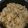mieみぃmie's cooksnap of when they made 炊飯器で簡単！！鶏五目おこわ☆.