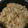 mieみぃmie's cooksnap of when they made 炊飯器で簡単！！鶏五目おこわ☆.