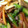 セキノール's cooksnap of when they made ＊アスパラとエリンギのバター炒め＊.