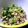 kurikon3's cooksnap of when they made 大根葉とひき肉の味噌炒め煮.