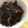 くまんぼう's cooksnap of when they made ご飯が進む☆ひじきの煮つけ.