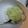 midwifeになる's cooksnap of when they made 枝豆いっぱい　ずんだ餅.