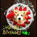 リブちゃんズ's cooksnap of when they made 犬用ジャガケーキ!.