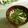 まろんかふぇ's cooksnap of when they made 春菊・油揚げ・椎茸のすまし汁.