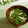 まろんかふぇ's cooksnap of when they made 春菊・油揚げ・椎茸のすまし汁.
