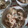 manaman's cooksnap of when they made ♫ちくわのたらこマヨソース和え♫.