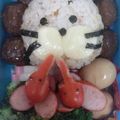 たいとこうのはは's cooksnap of when they made ミートボールでライオン弁当.