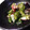 クック2W9OKP☆'s cooksnap of when they made たこときゅうりとわかめの酢の物.