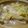 蒟蒻バタコ's cooksnap of when they made ホタテ缶と白菜の中華煮.