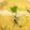 YLanson's cooksnap of when they made ホッコリ卵スープ.