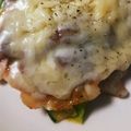 hirame122001's cooksnap of when they made 豚肉とズッキーニのミルフィーユ仕立て.