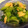 ♩キティ♩'s cooksnap of when they made ちんげんさいと油揚げの簡単中華炒め✧.