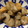 こたつねこくん's cooksnap of when they made 里いもだけの簡単煮物.