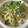 hononono's cooksnap of when they made ほうれん草としめじのクリームスパ.