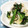 クッキン☆GOO's cooksnap of when they made 春菊と大根の和え物.