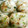 maco33's cooksnap of when they made 大葉と大根の皮の混ぜご飯♡.