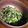 野菜のはたけ's cooksnap of when they made 大根葉とじゃこのふりかけ.