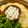 Satoco❋'s cooksnap of when they made ☺簡単おつまみ♪わさび漬けのディップ☺.
