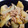 aimi1224's cooksnap of when they made 里芋とエリンギの煮物.