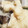 uomaru's cooksnap of when they made ごぼうと白ネギの揚げ煮.