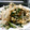 yumi_3's cooksnap of when they made ニラともやしの炒めもの.