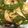 ＠まぁたん＠'s cooksnap of when they made エリンギとスナップエンドウのバター醤油.