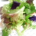 すみねこ。's cooksnap of when they made エビとアボカドのグリーンサラダ.