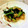 ♡礼♡'s cooksnap of when they made ターサイの炒め物.