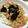 Haika☆'s cooksnap of when they made 簡単！白菜とカニカマのあんかけ丼.