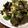 スガシケオ's cooksnap of when they made ほうれん草の海苔酢あえ（覚書）.