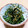 Ochi☆kun's cooksnap of when they made 大好き♪わかめ×こんぶの旨炒め.