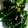 クックMAB152☆'s cooksnap of when they made 簡単☆ほうれん草のナムル.